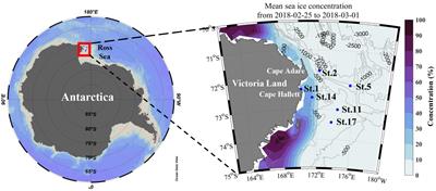 Different Biochemical Compositions of Particulate Organic Matter Driven by Major Phytoplankton Communities in the Northwestern Ross Sea